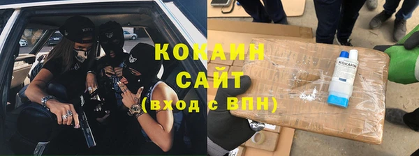 ПСИЛОЦИБИНОВЫЕ ГРИБЫ Болхов