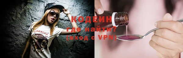 стаф Новозыбков