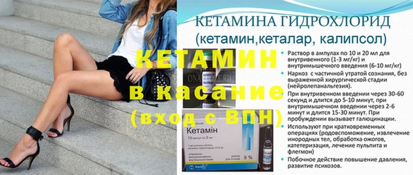 стаф Новозыбков