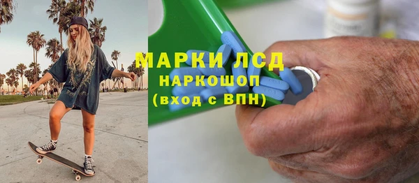 стаф Новозыбков