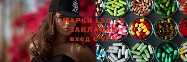 стаф Новозыбков