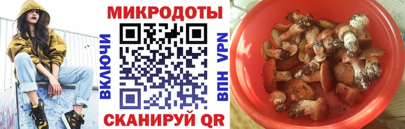 Галлюциногенные грибы мухоморы  Киселёвск 