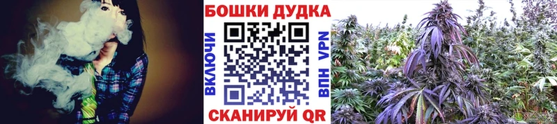 купить наркотик  Киселёвск  Бошки Шишки Bruce Banner 